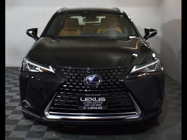 2022 Lexus UX 250h