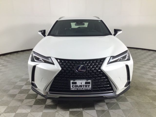 2022 Lexus UX 250h