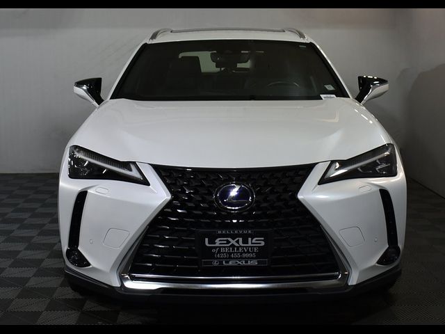 2022 Lexus UX 250h Luxury