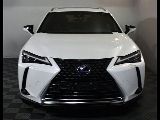 2022 Lexus UX 250h Luxury