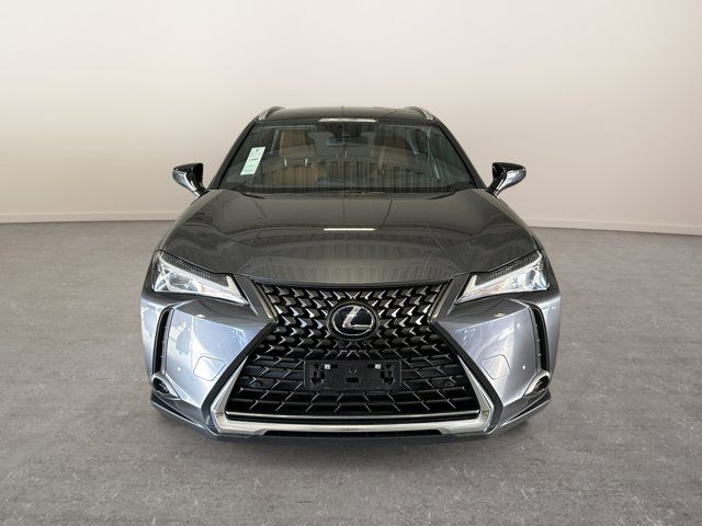 2022 Lexus UX 250h