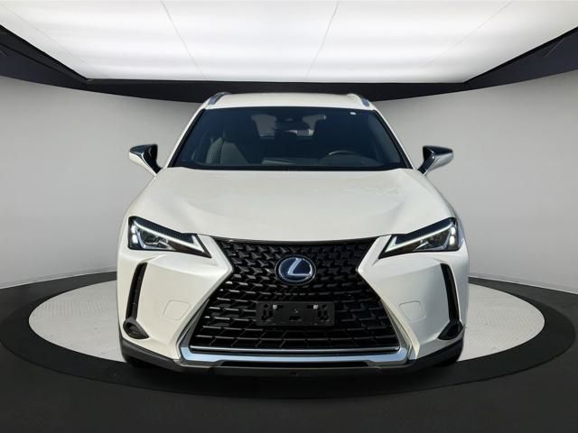 2022 Lexus UX 250h