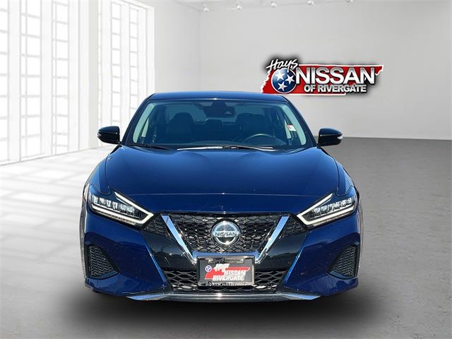 2022 Nissan Maxima SV