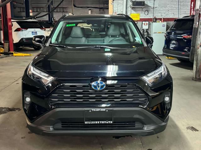 2022 Toyota RAV4 Hybrid XLE Premium