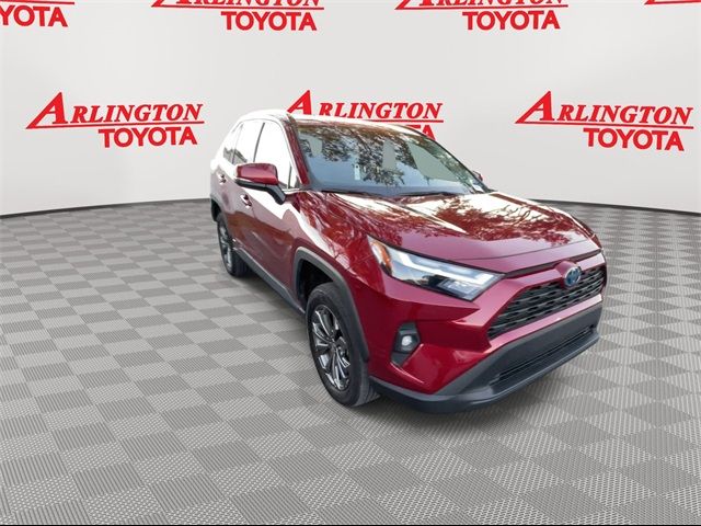 2022 Toyota RAV4 Hybrid XLE Premium