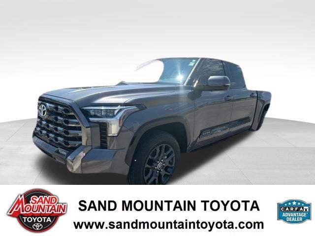 2022 Toyota Tundra Platinum