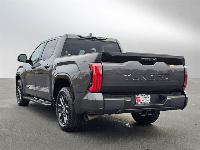 2022 Toyota Tundra Platinum