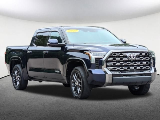 2022 Toyota Tundra Platinum