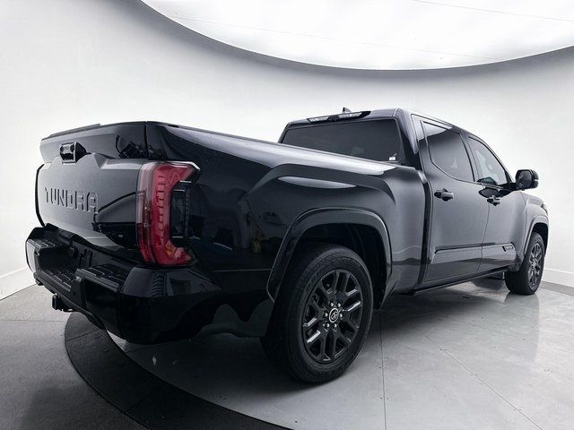 2022 Toyota Tundra Platinum