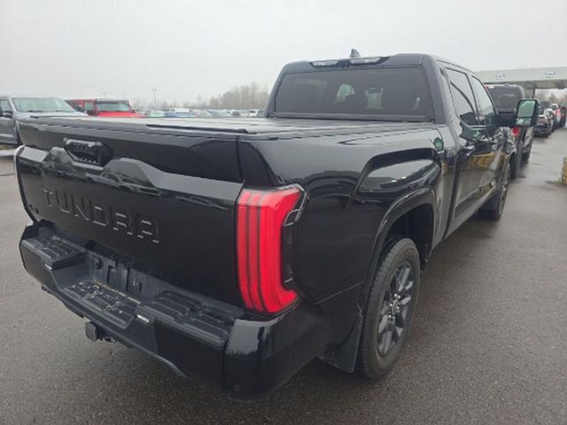 2022 Toyota Tundra Platinum