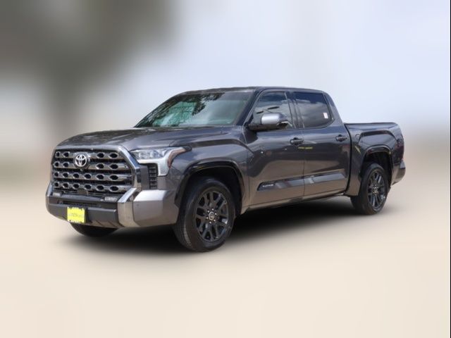 2022 Toyota Tundra Platinum