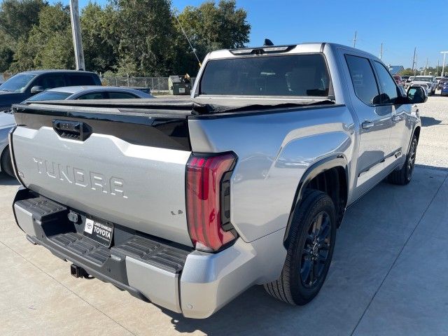 2022 Toyota Tundra Platinum