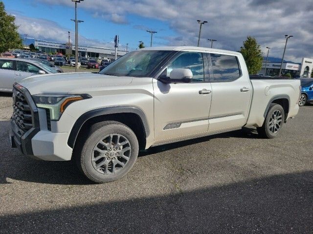 2022 Toyota Tundra Platinum