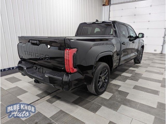 2022 Toyota Tundra Platinum