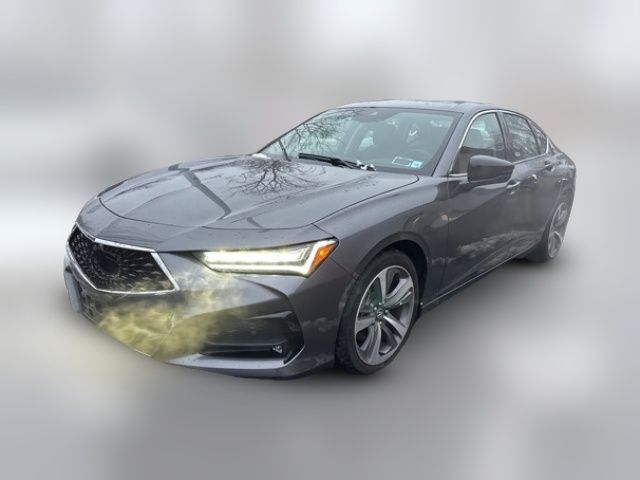 2023 Acura TLX Advance