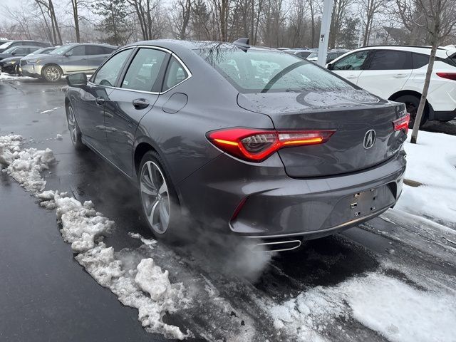 2023 Acura TLX Advance