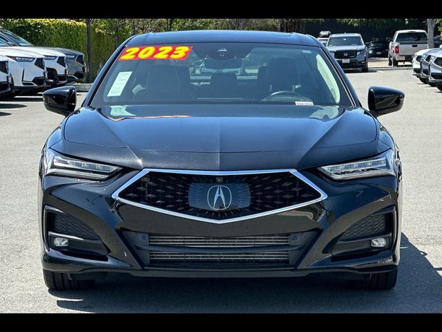 2023 Acura TLX Advance
