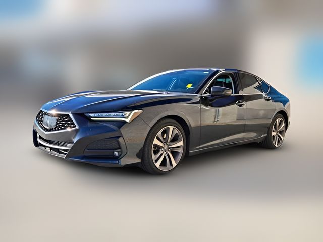 2023 Acura TLX Advance