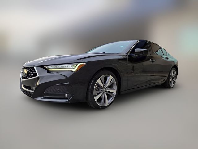 2023 Acura TLX Advance
