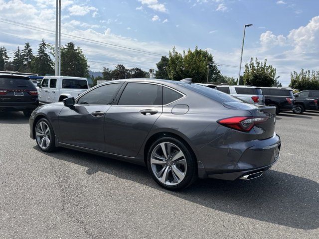 2023 Acura TLX Advance