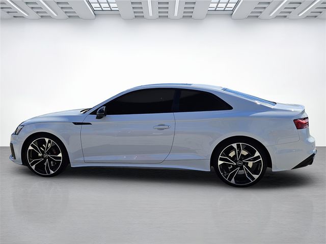 2023 Audi S5 Premium Plus