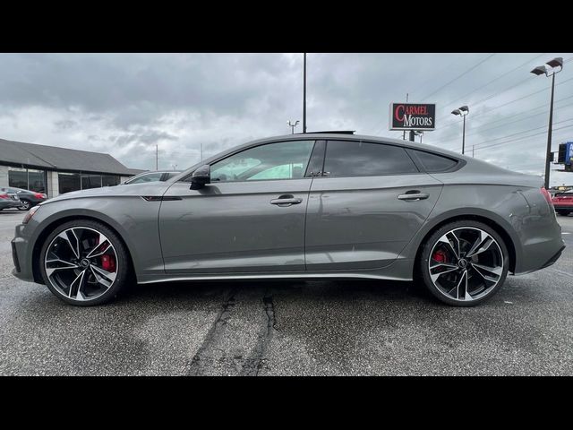 2023 Audi S5 Sportback Premium Plus