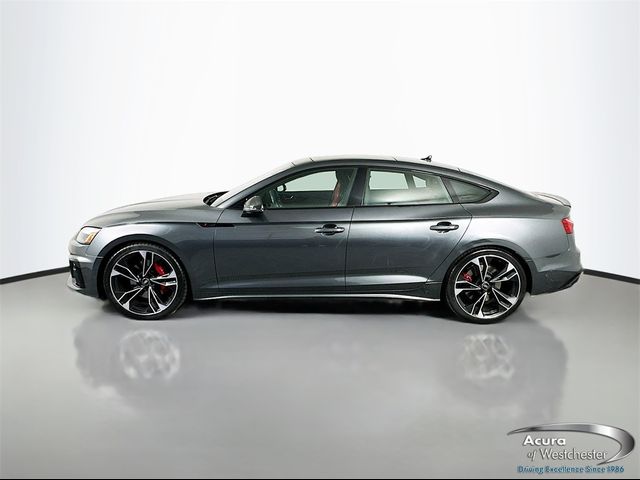 2023 Audi S5 Sportback Premium Plus
