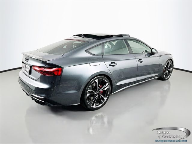 2023 Audi S5 Sportback Premium Plus