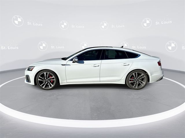 2023 Audi S5 Sportback Prestige