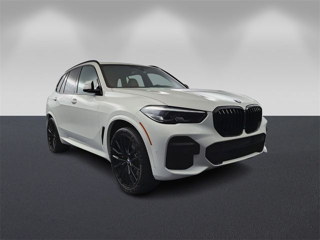 2023 BMW X5 sDrive40i