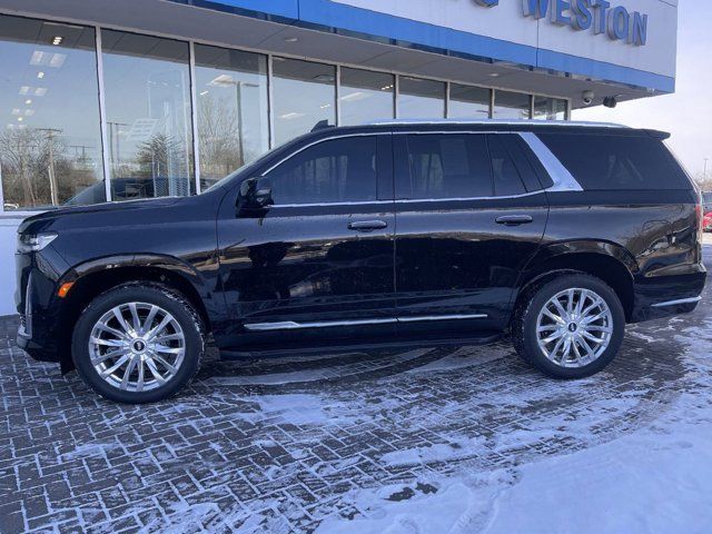 2023 Cadillac Escalade 4WD Premium Luxury