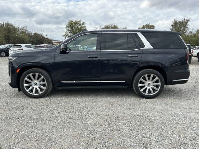 2023 Cadillac Escalade 4WD Premium Luxury Platinum