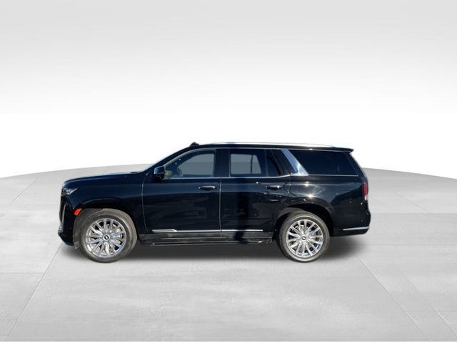 2023 Cadillac Escalade 4WD Premium Luxury