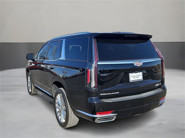 2023 Cadillac Escalade 4WD Premium Luxury