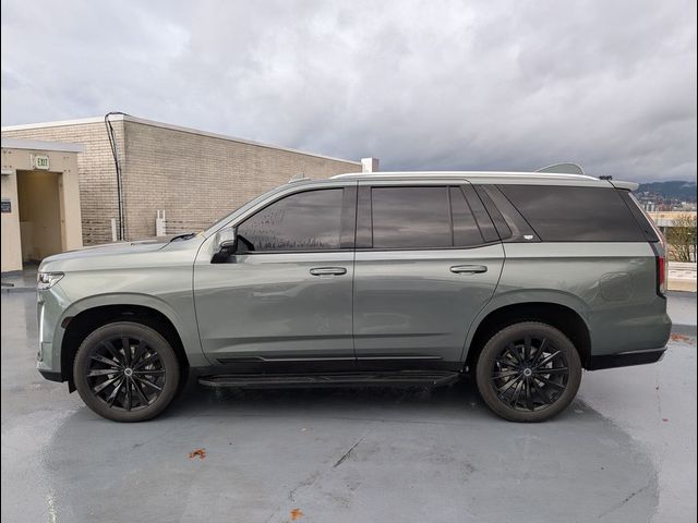 2023 Cadillac Escalade 4WD Premium Luxury