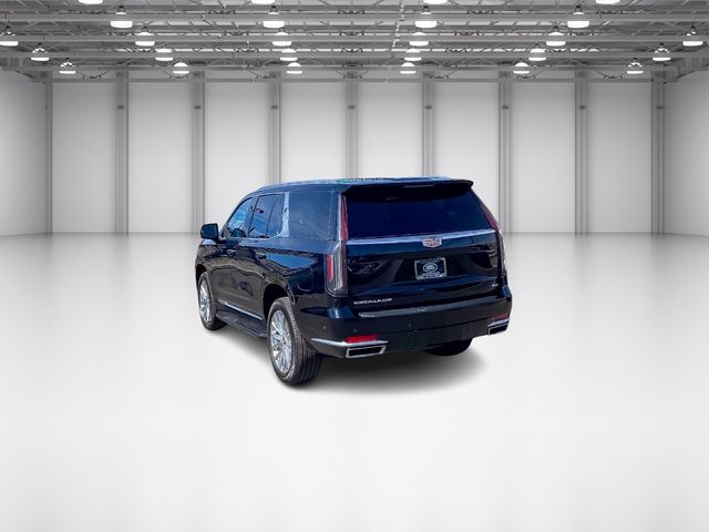 2023 Cadillac Escalade 4WD Premium Luxury