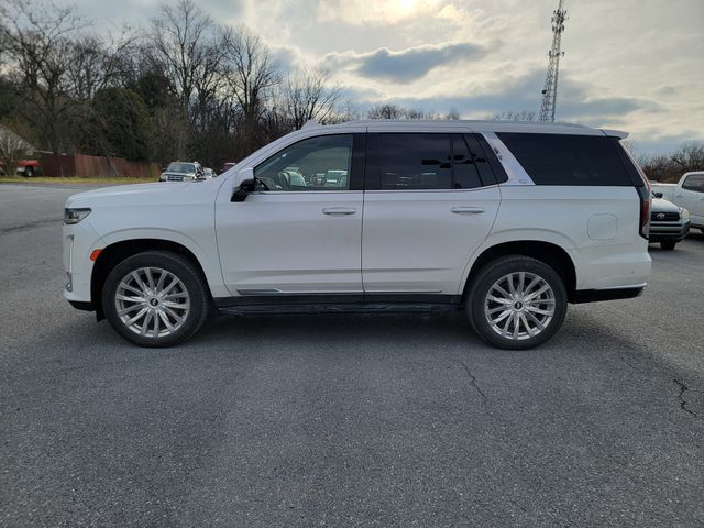 2023 Cadillac Escalade 4WD Premium Luxury