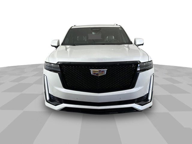 2023 Cadillac Escalade RWD Sport Platinum