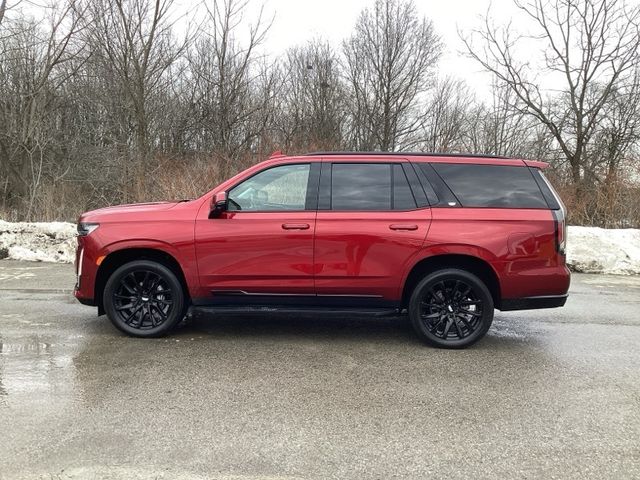 2023 Cadillac Escalade 4WD Sport Platinum