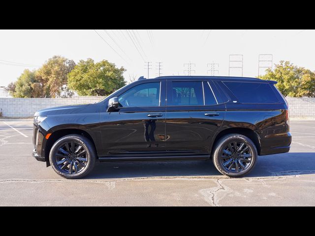 2023 Cadillac Escalade 4WD Sport Platinum