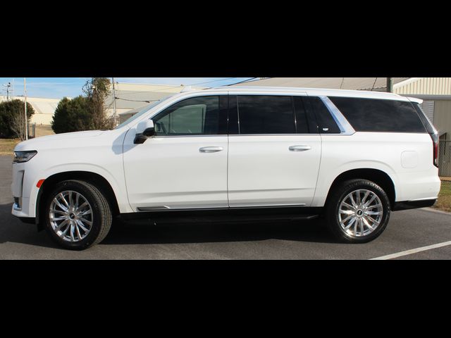 2023 Cadillac Escalade ESV 4WD Premium Luxury