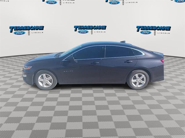 2023 Chevrolet Malibu LS