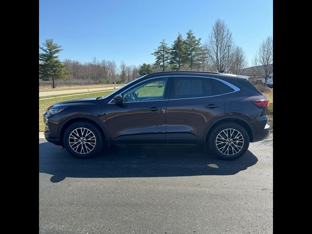 2023 Ford Escape PHEV