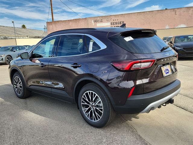 2023 Ford Escape PHEV