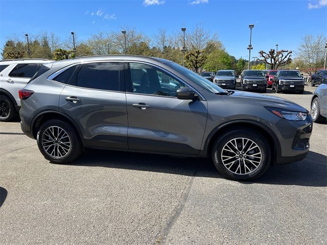 2023 Ford Escape PHEV