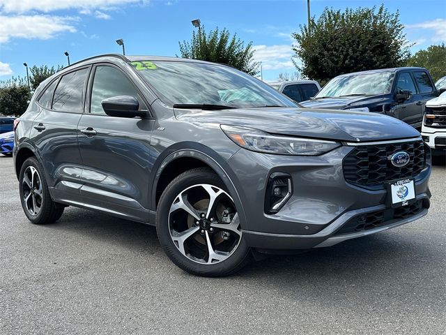 2023 Ford Escape ST-Line Elite