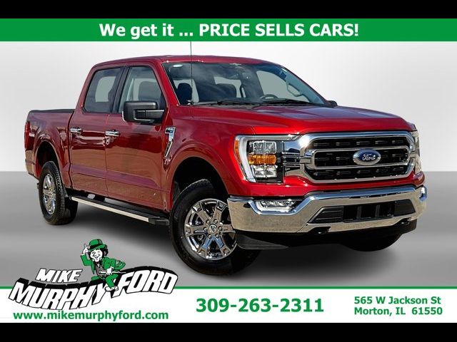 2023 Ford F-150 XLT