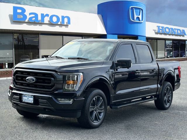 2023 Ford F-150 XLT