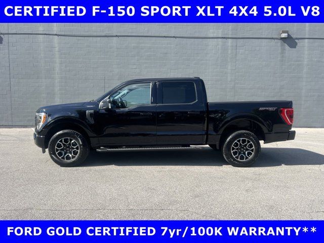 2023 Ford F-150 XLT