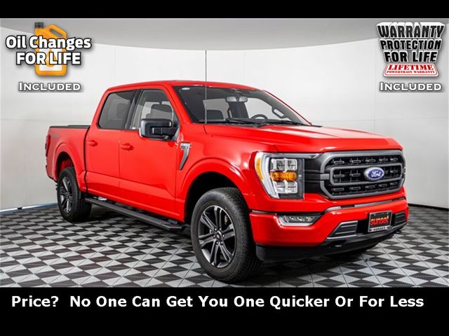 2023 Ford F-150 XLT